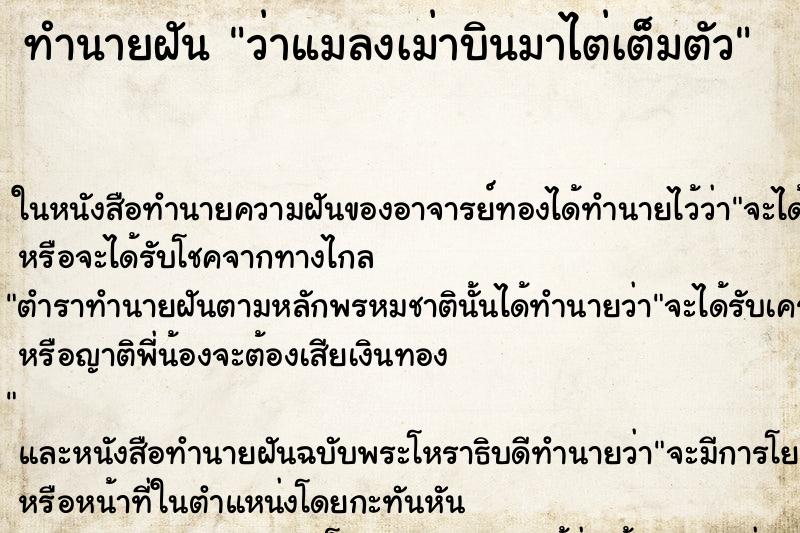 ทำนายฝัน ว่าแมลงเม่าบินมาไต่เต็มตัว ทำนายฝัน ว่าแมลงเม่าบินมาไต่เต็มตัว