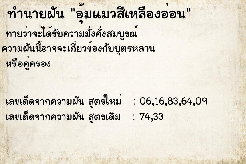 ทำนายฝัน อุ้มแมวสีเหลืองอ่อน ทำนายฝัน อุ้มแมวสีเหลืองอ่อน