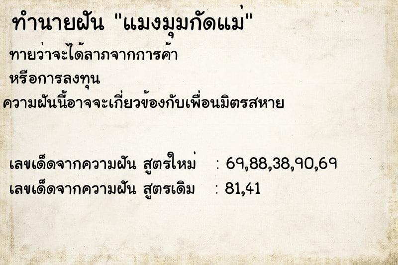 ทำนายฝัน แมงมุมกัดแม่ ทำนายฝัน แมงมุมกัดแม่