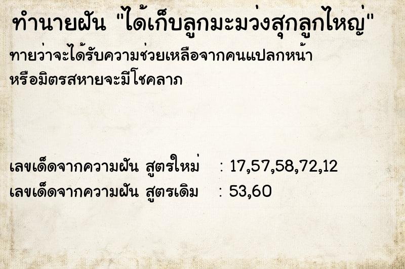ทำนายฝันได้เก็บลูกมะมว่งสุกลูกไหญ่ ทำนายฝันทำนายฝันได้เก็บลูกมะมว่งสุกลูกไหญ่