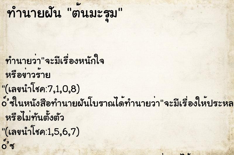 ทำนายฝันต้นมะรุม ทำนายฝันทำนายฝันต้นมะรุม