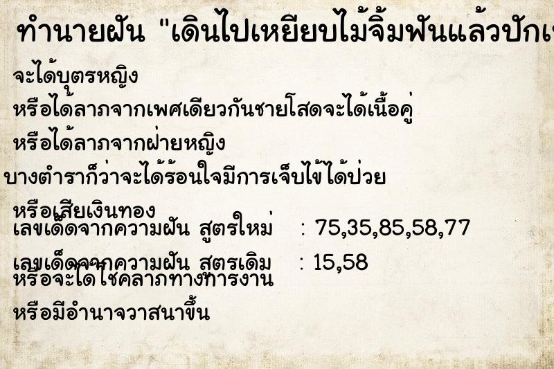 ทำนายฝันทำนายฝันเดินไปเหยียบไม้จิ้มฟันแล้วปักเท้า