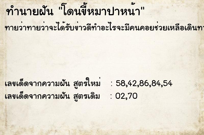 ทำนายฝันโดนขี้หมาปาหน้า ทำนายฝันทำนายฝันโดนขี้หมาปาหน้า
