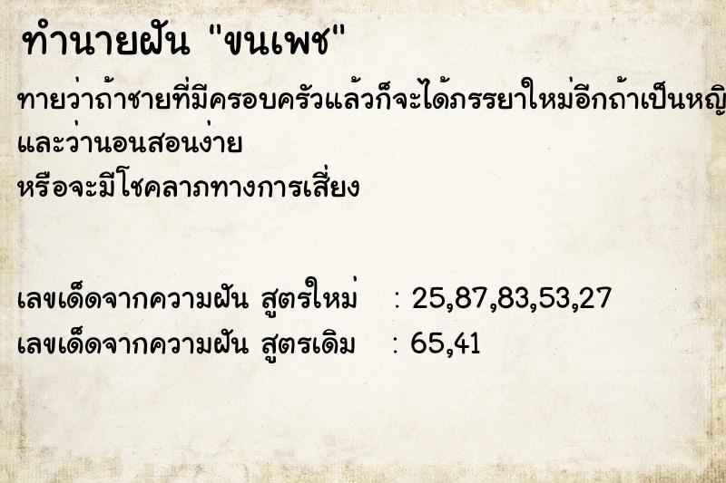 ทำนายฝันขนเพช ทำนายฝันทำนายฝันขนเพช