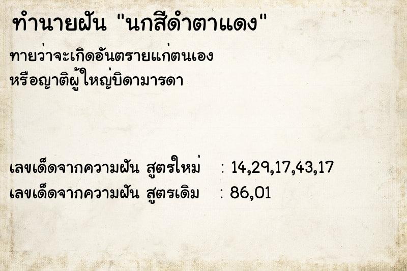 ทำนายฝัน นกสีดำตาแดง ทำนายฝัน นกสีดำตาแดง