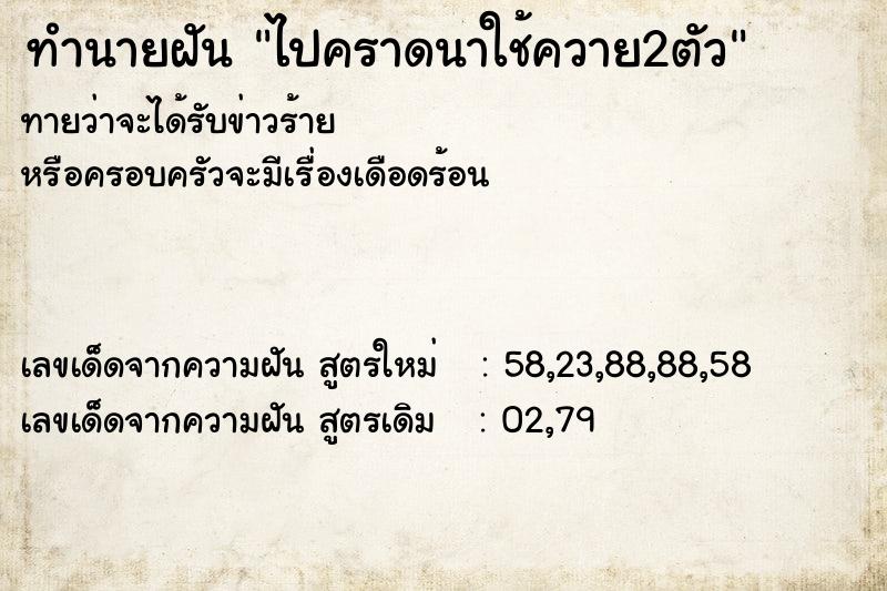 ทำนายฝันทำนายฝันไปคราดนาใช้ควาย2ตัว