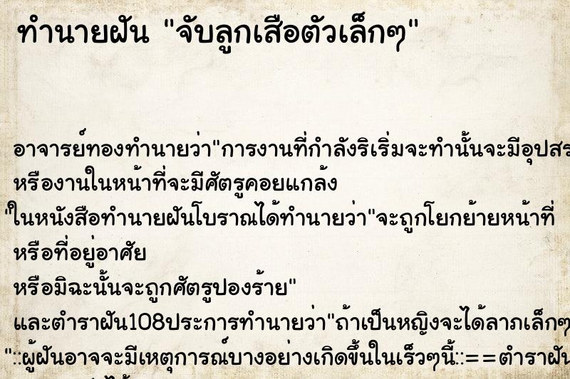 ทำนายฝัน จับลูกเสือตัวเล็กๆ