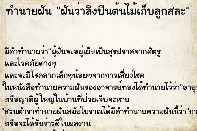 ทำนายฝันฝันว่าลิงปีนต้นไม้เก็บลูกสละ ทำนายฝันทำนายฝันฝันว่าลิงปีนต้นไม้เก็บลูกสละ