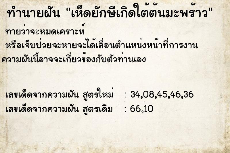 ทำนายฝัน เห็ดยักษืเกิดใต้ต้นมะพร้าว ทำนายฝัน เห็ดยักษืเกิดใต้ต้นมะพร้าว