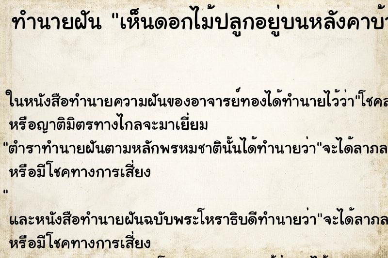 ทำนายฝัน เห็นดอกไม้ปลูกอยู่บนหลังคาบ้าน แม่นๆ ฟรี ด้วยตำราหนังสือทำนายฝันโบราณ ทำนายฝันเห็นดอกไม้ปลูกอยู่บนหลังคาบ้าน
