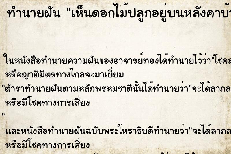 ทำนายฝัน เห็นดอกไม้ปลูกอยู่บนหลังคาบ้าน ตำราโบราณ แม่นที่สุดในโลก