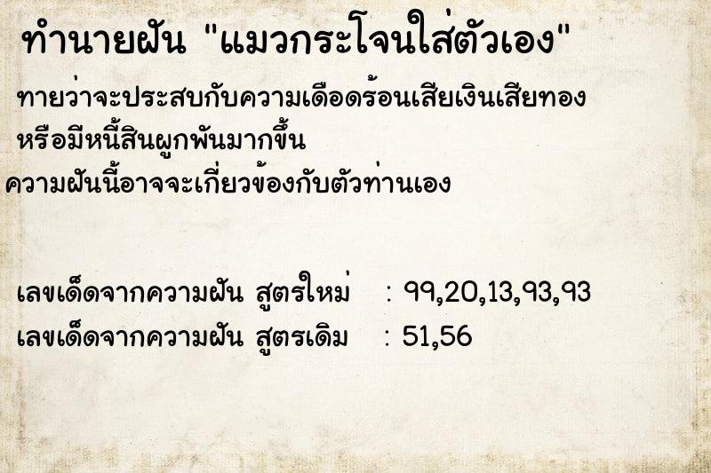 ทำนายฝันทำนายฝันแมวกระโจนใส่ตัวเอง