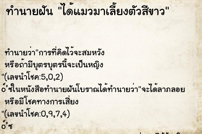 ทำนายฝันได้แมวมาเลี้ยงตัวสีขาว ทำนายฝันทำนายฝันได้แมวมาเลี้ยงตัวสีขาว