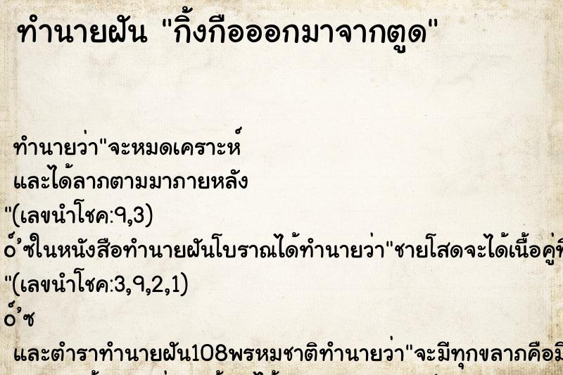 ทำนายฝัน กิ้งกือออกมาจากตูด