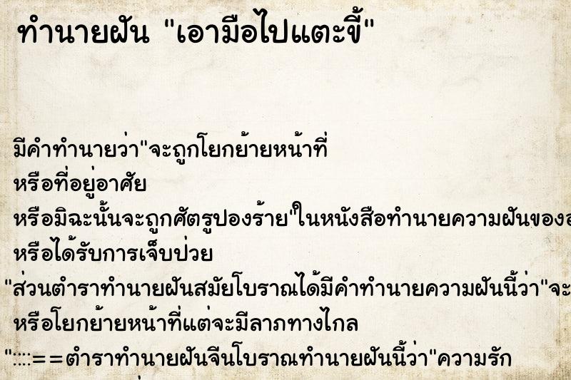 ทำนายฝันเอามือไปแตะขี้ ทำนายฝันทำนายฝันเอามือไปแตะขี้