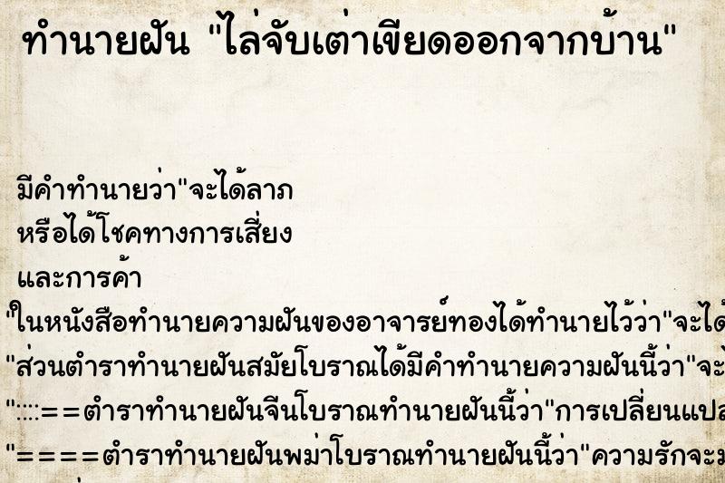 ทำนายฝันไล่จับเต่าเขียดออกจากบ้าน ทำนายฝันทำนายฝันไล่จับเต่าเขียดออกจากบ้าน
