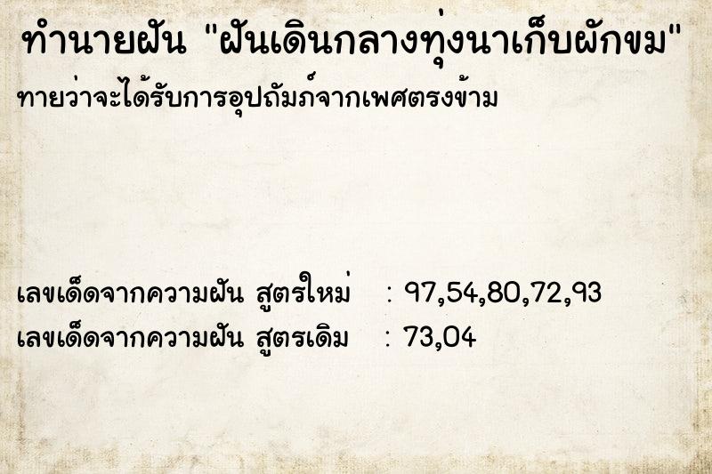 ทำนายฝันฝันเดินกลางทุ่งนาเก็บผักขม ทำนายฝันทำนายฝันฝันเดินกลางทุ่งนาเก็บผักขม