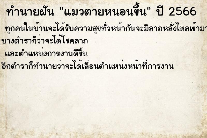 ทำนายฝัน แมวตายหนอนขึ้น ทำนายฝัน แมวตายหนอนขึ้น