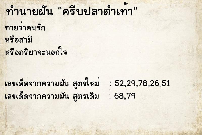 ทำนายฝัน ครีบปลาตำเท้า ทำนายฝัน ครีบปลาตำเท้า