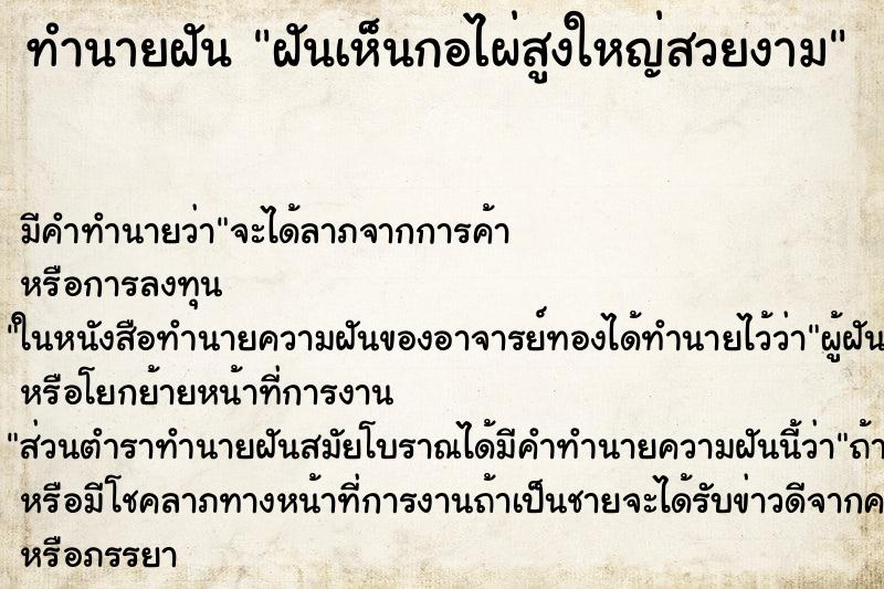 ทำนายฝัน ฝันเห็นกอไผ่สูงใหญ่สวยงาม ทำนายฝัน ฝันเห็นกอไผ่สูงใหญ่สวยงาม