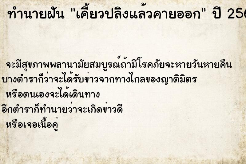 ทำนายฝันเคี้ยวปลิงแล้วคายออก ทำนายฝันทำนายฝันเคี้ยวปลิงแล้วคายออก