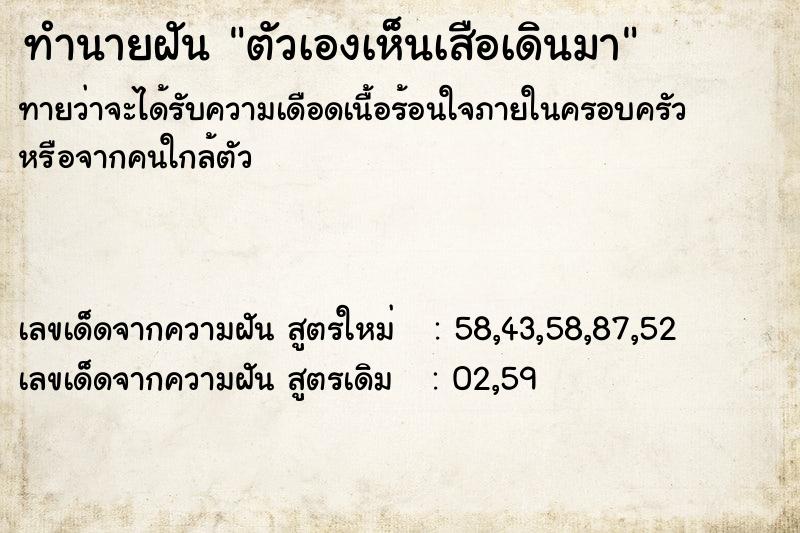 ทำนายฝันตัวเองเห็นเสือเดินมา ทำนายฝันทำนายฝันตัวเองเห็นเสือเดินมา