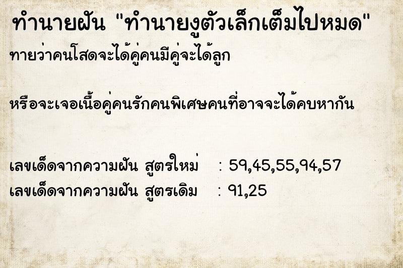 ทำนายฝันทำนายงูตัวเล็กเต็มไปหมด ทำนายฝันทำนายฝันทำนายงูตัวเล็กเต็มไปหมด