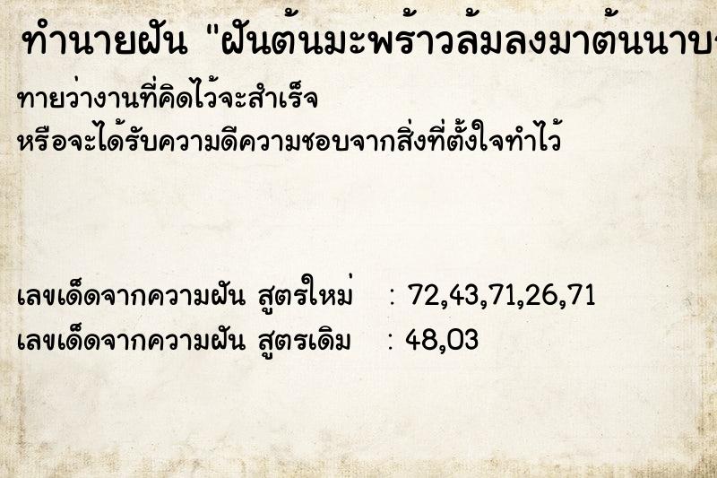 ทำนายฝันฝันต้นมะพร้าวล้มลงมาต้นนาบกับพื้นดิน ทำนายฝันทำนายฝันฝันต้นมะพร้าวล้มลงมาต้นนาบกับพื้นดิน