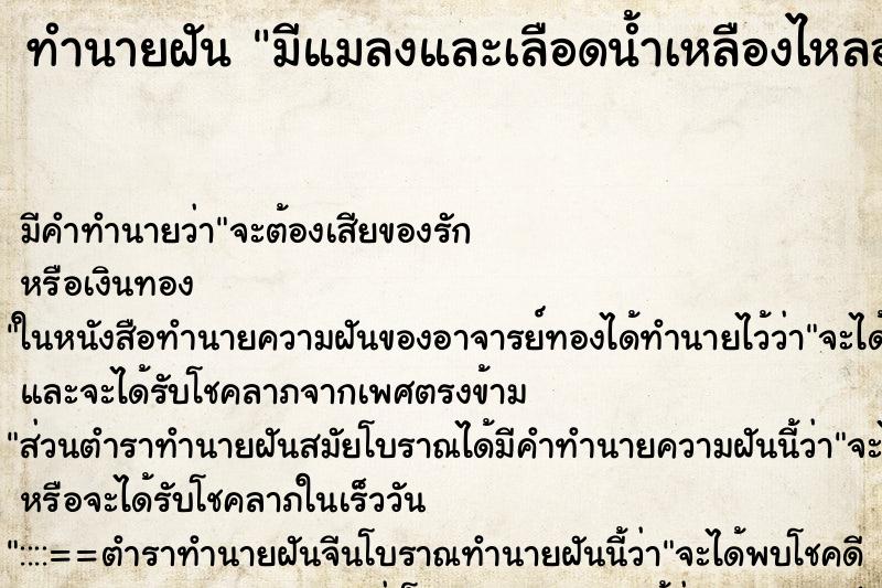 ทำนายฝัน มีแมลงและเลือดน้ำเหลืองไหลออกจากหูขวา ทำนายฝัน มีแมลงและเลือดน้ำเหลืองไหลออกจากหูขวา