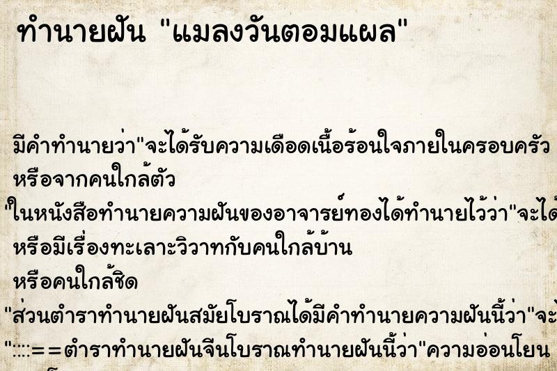ทำนายฝัน แมลงวันตอมแผล ทำนายฝัน แมลงวันตอมแผล