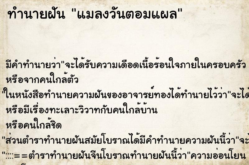 ทำนายฝัน แมลงวันตอมแผล ตำราโบราณ แม่นที่สุดในโลก