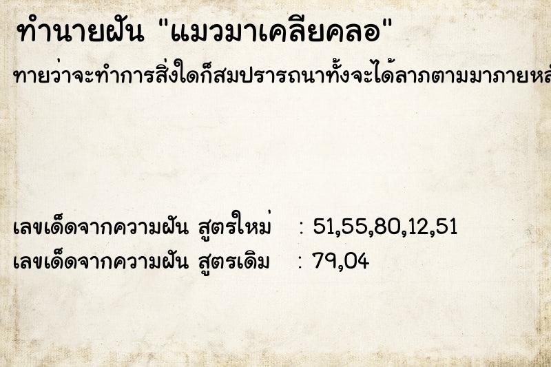 ทำนายฝันทำนายฝันแมวมาเคลียคลอ