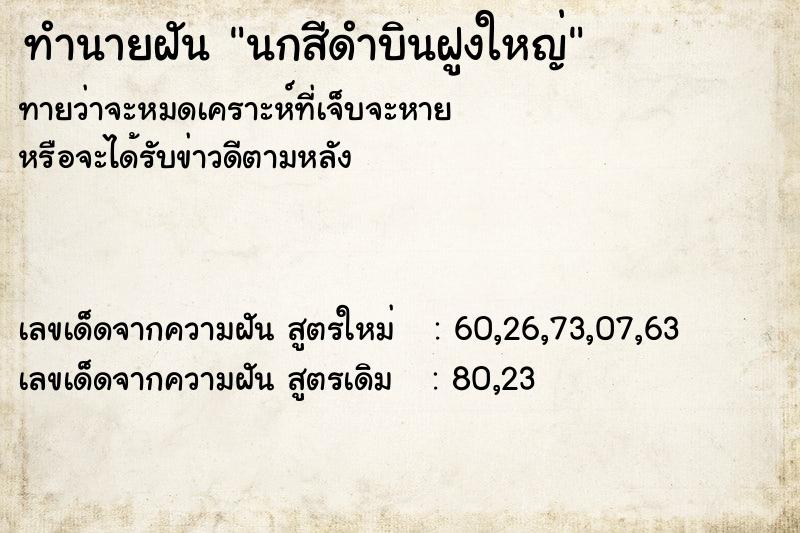 ทำนายฝัน นกสีดำบินฝูงใหญ่ ทำนายฝัน นกสีดำบินฝูงใหญ่
