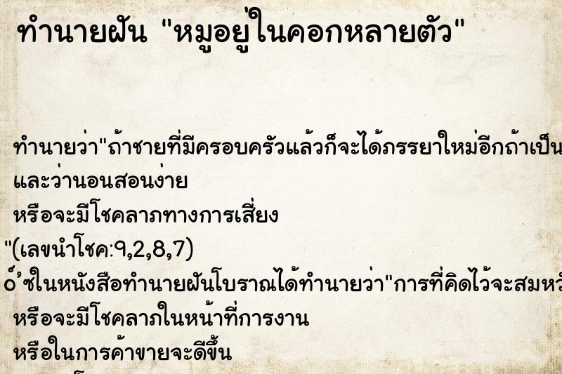 ทำนายฝัน หมูอยู่ในคอกหลายตัว ทำนายฝัน หมูอยู่ในคอกหลายตัว