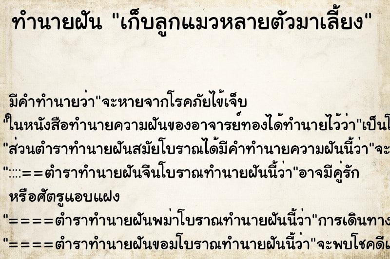 ทำนายฝัน เก็บลูกแมวหลายตัวมาเลี้ยง ทำนายฝัน เก็บลูกแมวหลายตัวมาเลี้ยง