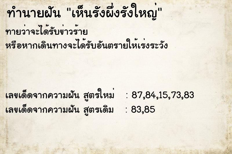 ทำนายฝันเห็นรังผึ่งรังใหญ่ ทำนายฝันทำนายฝันเห็นรังผึ่งรังใหญ่