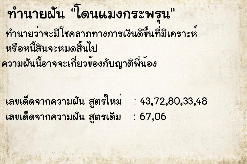 ทำนายฝัน โดนแมงกระพรุน ทำนายฝัน โดนแมงกระพรุน