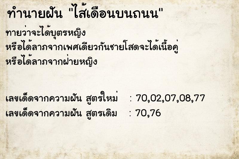 ทำนายฝันไส้เดือนบนถนน ทำนายฝันทำนายฝันไส้เดือนบนถนน
