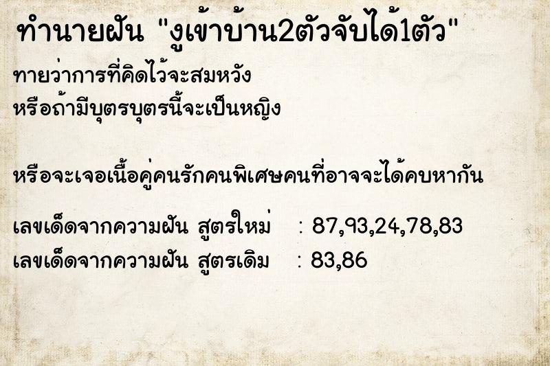 ทำนายฝันงูเข้าบ้าน2ตัวจับได้1ตัว ทำนายฝันทำนายฝันงูเข้าบ้าน2ตัวจับได้1ตัว