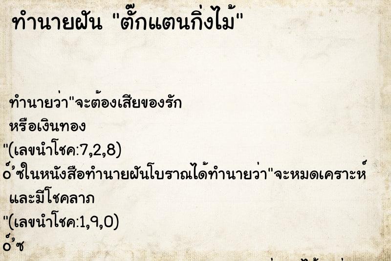 ทำนายฝันทำนายฝันตั๊กแตนกิ่งไม้
