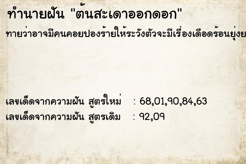 ทำนายฝัน ต้นสะเดาออกดอก ทำนายฝัน ต้นสะเดาออกดอก