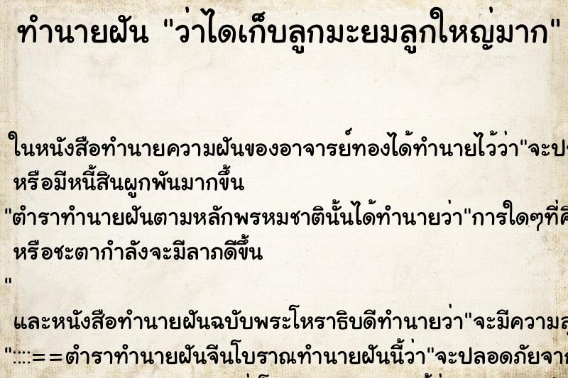 ทำนายฝัน ว่าไดเก็บลูกมะยมลูกใหญ่มาก ทำนายฝัน ว่าไดเก็บลูกมะยมลูกใหญ่มาก