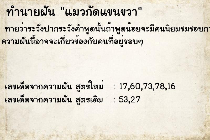 ทำนายฝันแมวกัดแขนขวา ทำนายฝันทำนายฝันแมวกัดแขนขวา
