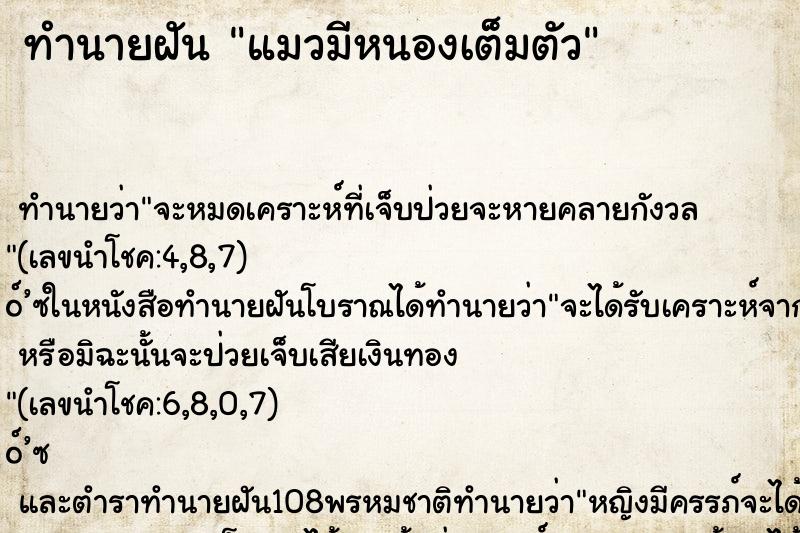 ทำนายฝัน แมวมีหนองเต็มตัว ทำนายฝัน แมวมีหนองเต็มตัว