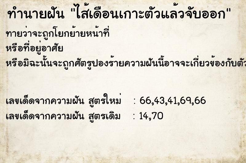 ทำนายฝันทำนายฝันไส้เดือนเกาะตัวแล้วจับออก