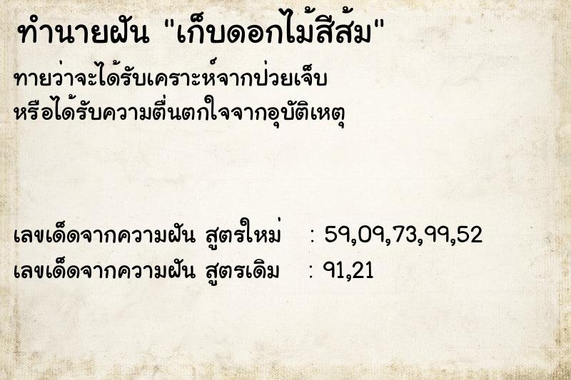 ทำนายฝัน เก็บดอกไม้สีส้ม ทำนายฝัน เก็บดอกไม้สีส้ม
