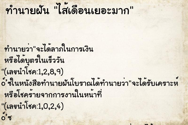 ทำนายฝัน ไส้เดือนเยอะมาก ทำนายฝัน ไส้เดือนเยอะมาก