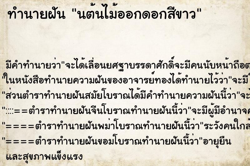 ทำนายฝันนต้นไม้ออกดอกสีขาว ทำนายฝันทำนายฝันนต้นไม้ออกดอกสีขาว