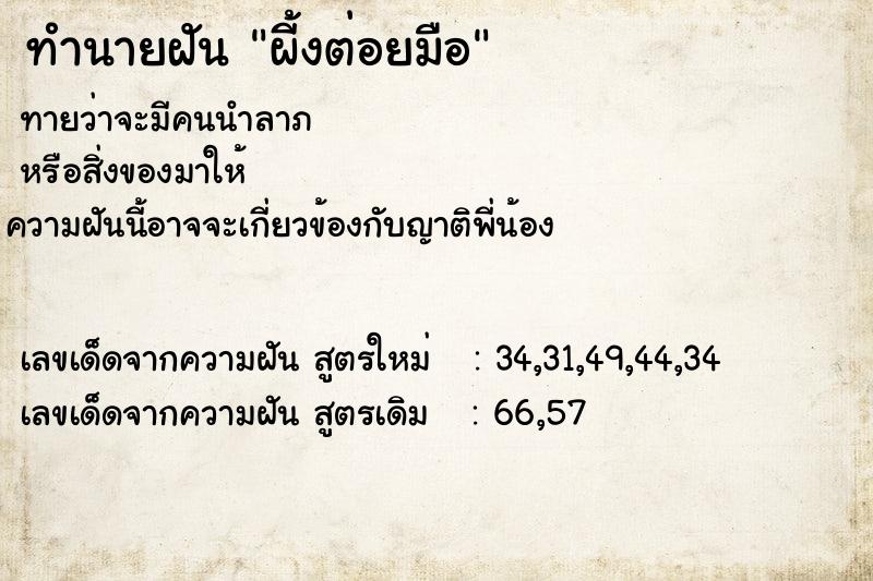 ทำนายฝันผี้งต่อยมือ ทำนายฝันทำนายฝันผี้งต่อยมือ