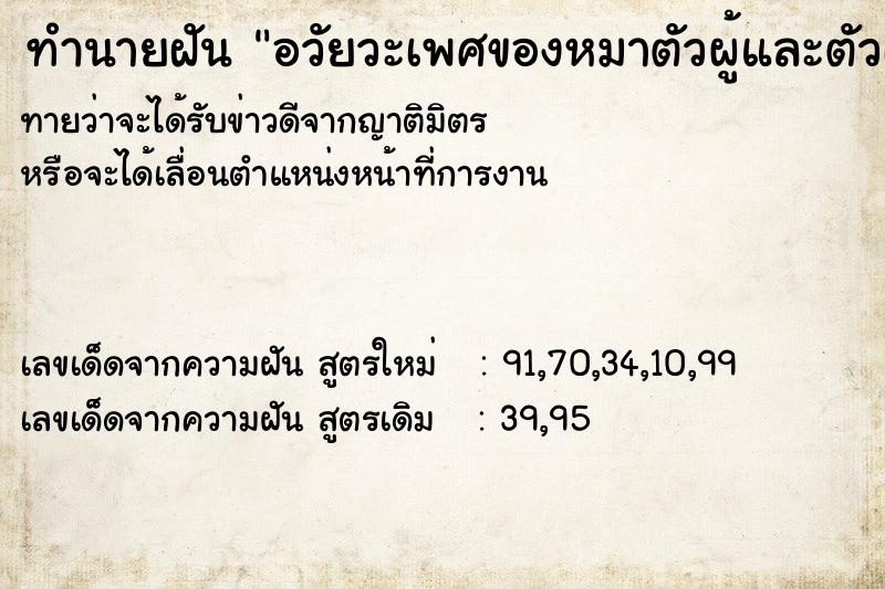 ทำนายฝันอวัยวะเพศของหมาตัวผู้และตัวเมีย ทำนายฝันทำนายฝันอวัยวะเพศของหมาตัวผู้และตัวเมีย